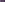 Viola, Perennial