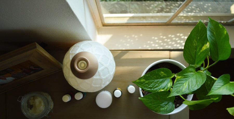 Summer Houseplant Care Checklist