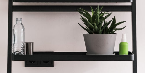 Perfect Plants for Shelves