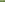 Mexican Feather Grass