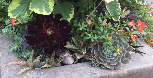Create Textural Containers