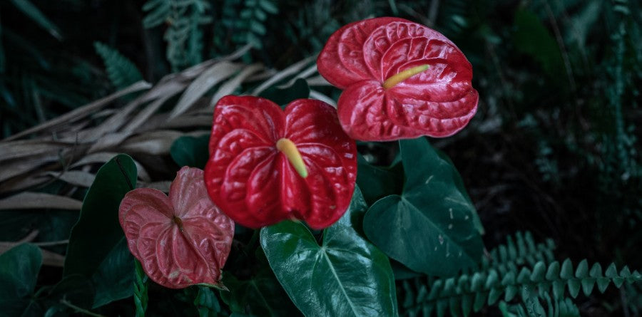 A New Twist on Thanksgiving Tabletop Decor