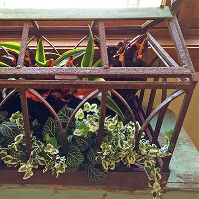 Consejos para Crear un Terrario Efectivo