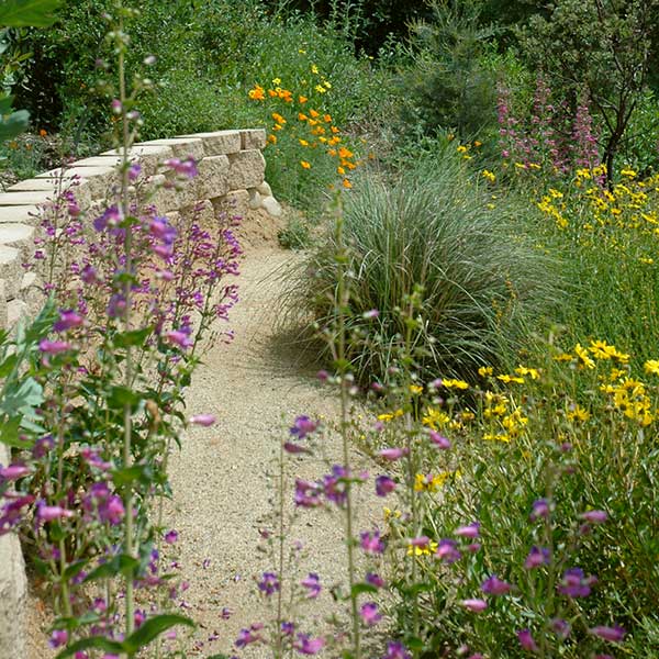 Xeriscaping: What It Is and How to Do It