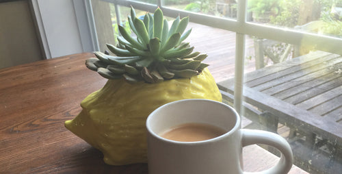 Morning Rituals: Coffee and Plants