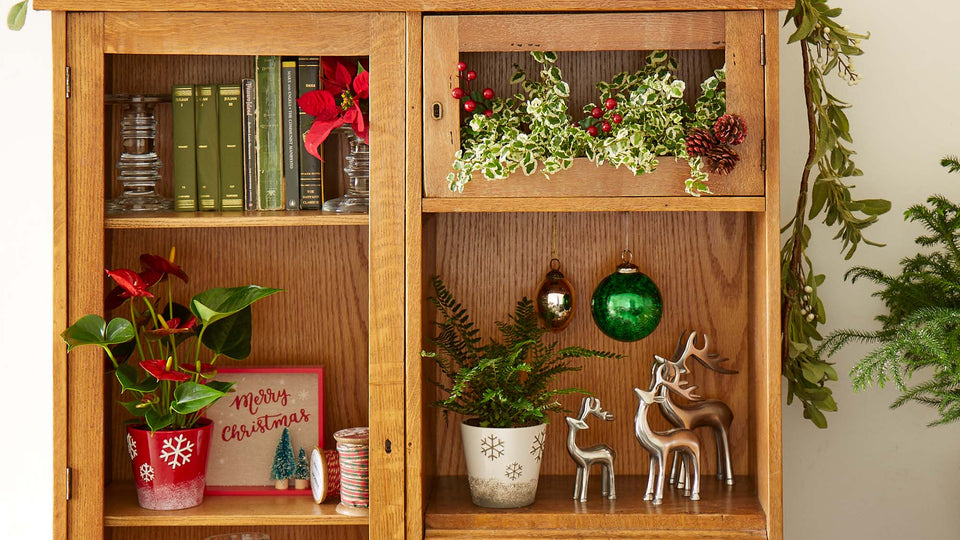 Wood Bookshelf decorated for the holidays with plants, including Red Anthurium, Variegated Ficus, and Ferns; accented by silver reindeer and colorful holiday ornaments