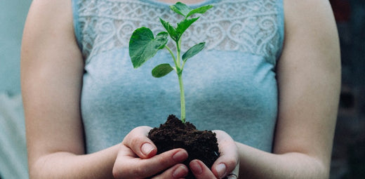Horticultural Therapy
