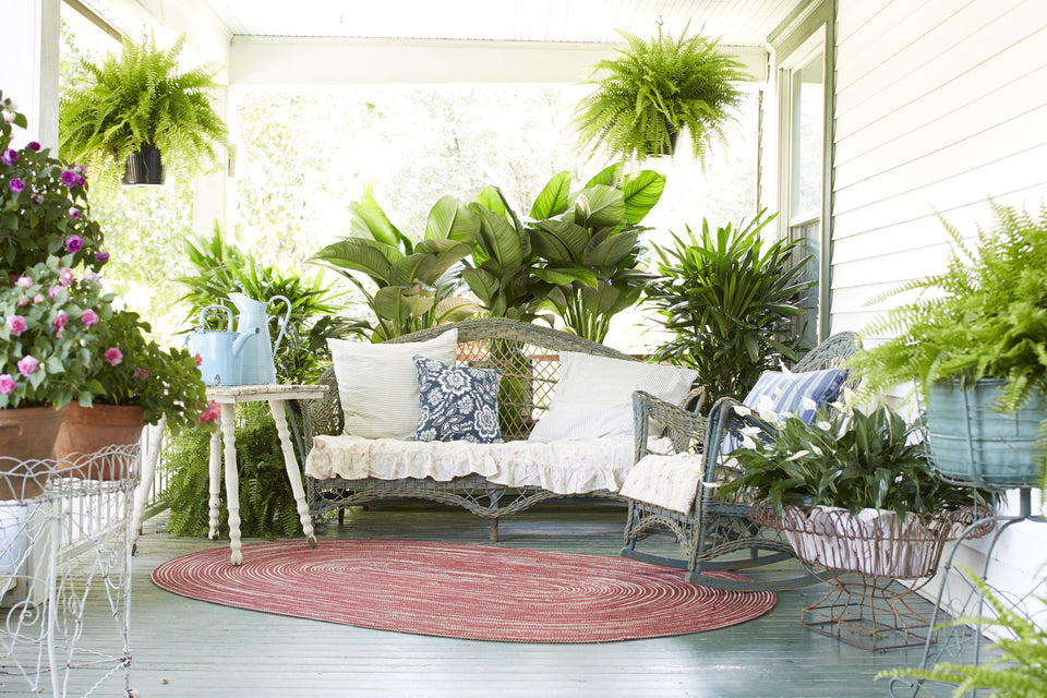 Which Plants Should You Bring Inside for Winter, and When?