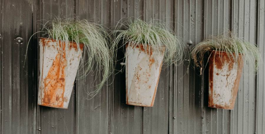 Create Plant Vignettes