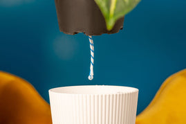 A depiction of how the self-watering container functions.