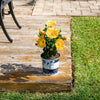 Tropical Hibiscus HibisQs® Ninos Yellow | medium