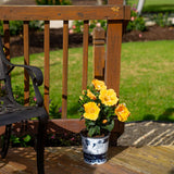 Tropical Hibiscus HibisQs® Ninos Yellow | medium