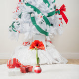 An Amaryllis bulb plant is surrounded by a white christmas tree and holiday gifts. 