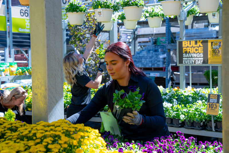 Nature as Your Office