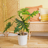 A large Alocasia Jacklyn plant sits on a light-wooden floor in a beautifully decorated living room space. The plant has large emerald-green leaves with various pointed arrow-like shapes. It is inside a white fluted container.