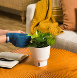 A Lemon Top pothos plant sits on an orange coffee table. A hand extends out earing fuzzy blue gloves to clean the beautiful green foliage. 