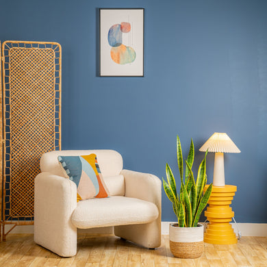 costa farms sansevieria Snake Plant