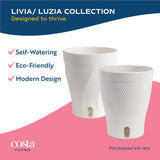 Silver Indukan | medium