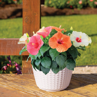 Tropical Hibiscus Bouquet