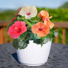 Tropical Hibiscus Bouquet | medium