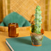 Fukuro Cactus | teacup