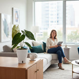 Anthurium magnificum Hybrid  | medium