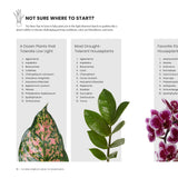 The New Complete Guide to Houseplants: Expert Houseplant Growing Advice for Everyone
