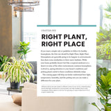 The New Complete Guide to Houseplants: Expert Houseplant Growing Advice for Everyone