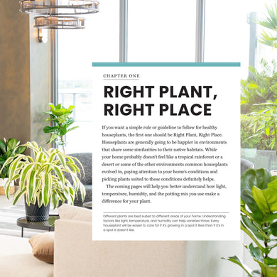 house plant care guide book The New Complete Guide to Houseplants: Expert Houseplant Growing Advic –  Costa Farms