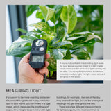 The New Complete Guide to Houseplants: Expert Houseplant Growing Advice for Everyone