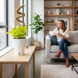 Pothos Neon Joy | medium