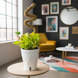 Pothos Neon Joy | medium