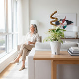 Epipremnum pinnatum Marble | medium