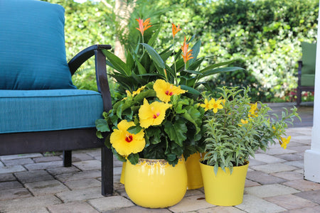 Summer-Proof Your Planters