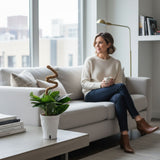 Monstera Peru | medium