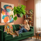 Green Philodendron | medium