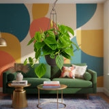 Green Philodendron | medium