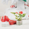 anthurium plant in festive ceramic pot sitting under a christmas tree surrounded by wrapped presents