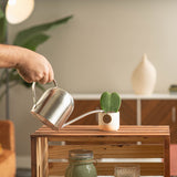 A small Sweetheart Hoya plant sits on a light wooden shelf. The plant is in a cute blue & white ceramic decor pot. A hand extends out to water the soil with a silver watering can.