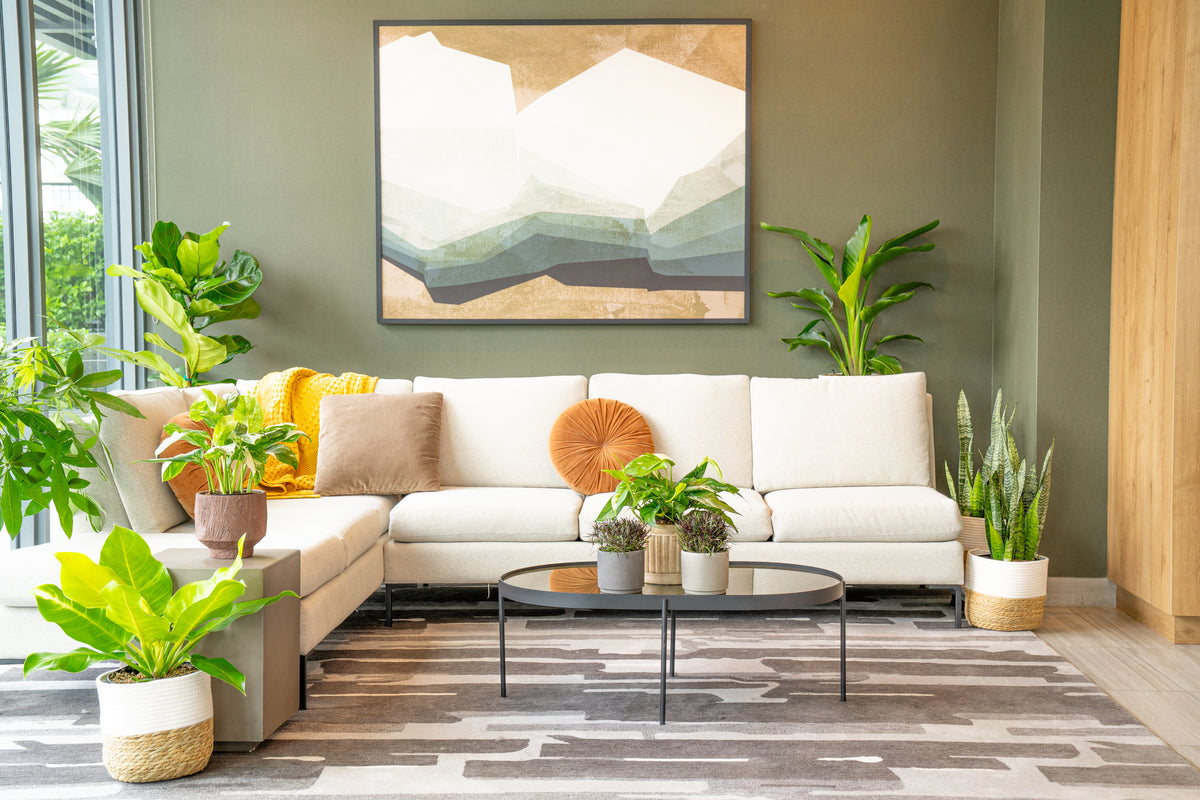 Start With The Right Plant