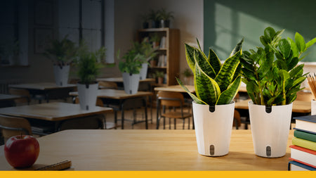 Teachers, Share Your Classroom Story
