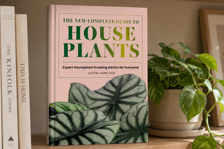 The New Complete Guide to Houseplants