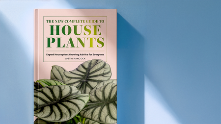 The New Complete Guide to Houseplants