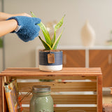 A small snake plant in a blue and white ceramic pot. A hand extends out wearing blue fuzzy gloves to tend to the plant. It sits on a wooden table. 