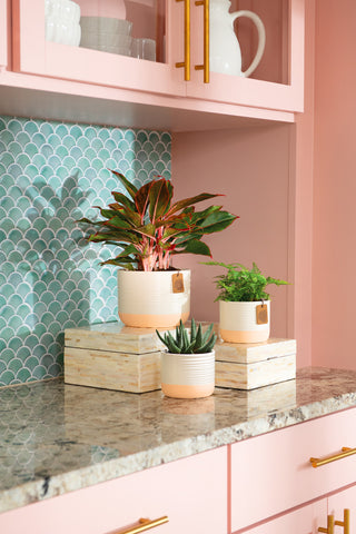 Pink cabinets with mermaid black splash and counter plants.