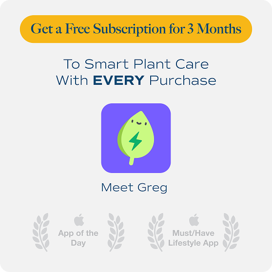 Easy Plant Identification