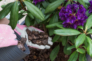 Can Mulch Stop Weeds? Gardening Experts Share Their Advice