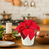 A red poinsettia plant sits on a table decorated festively for the holidays. 