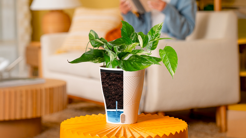Wick and Grow Self Watering System