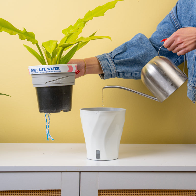 Self-Watering